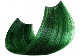 Фарба для волосся Right Color Зелена за ціною 300₴  у категорії Переглянуті товари