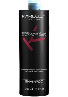 Відновлювальний шампунь для волосся Restructuring Shampoo за ціною 1055₴  у категорії Шампуні Країна виробництва Італія