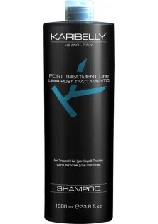 Купить Karibelly Шампунь для окрашенных волос Post Treatment Shampoo выгодная цена