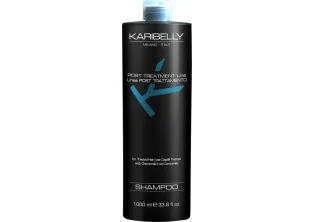 Купить  Шампунь для окрашенных волос Post Treatment Shampoo выгодная цена