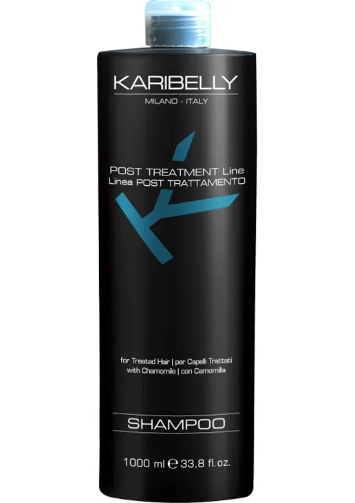 Шампунь для фарбованого волосся Post Treatment Shampoo - фото 1