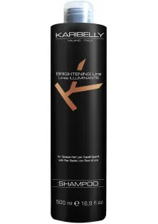 Купить Karibelly Шампунь для блеска волос Brightening Shampoo выгодная цена