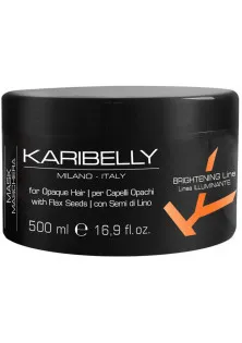 Маска для блиску волосся Brightening Mask за ціною 967₴  у категорії Маска для волосся Karibelly