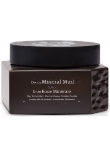 Маска для кучерявого волосся Divine Mineral Mud Mask за ціною 1185₴  у категорії Маска для зволоження волосся