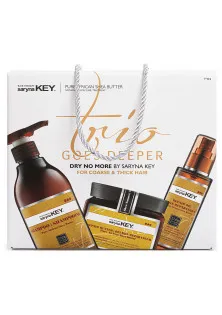 Набір для відновлення волосся Goes Deeper Dry No More за ціною 2850₴  у категорії Saryna Key Об `єм 3 шт