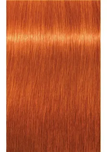 Фарба для волосся Igora Royal Permanent Color Creme №8-77 Light Blonde Copper Extra за ціною 467₴  у категорії Фарба для волосся Ефект для волосся Фарбування