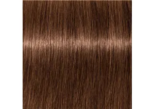 Перманентная крем-краска для волос без аммиака Igora Zero Amm Permanent Color Creme №6-31 Dark Blonde Matte Cendré по цене 467₴  в категории Просмотренные товары