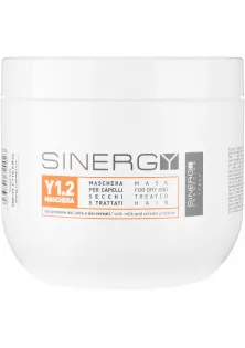 Маска для сухого і пошкодженого волосся Mask For Dry And Damaged Hair Y1.2 за ціною 485₴  у категорії Sinergy Серiя Y6