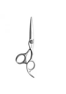 Парикмахерские ножницы Infinite 110 10655 5,5 по цене 2890₴  в категории Ножницы для волос Бренд Sway