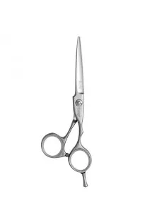 Перукарські ножиці Elite 110 20155 5,5 за ціною 2585₴  у категорії Ножиці для волосся Кривий Ріг
