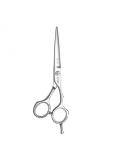 Перукарські ножиці Elite 110 20255 5,5 за ціною 2585₴  у категорії Ножиці для волосся