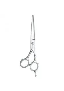 Перукарські ножиці Elite 110 20260 6 за ціною 2585₴  у категорії Ножиці для волосся Бренд Sway