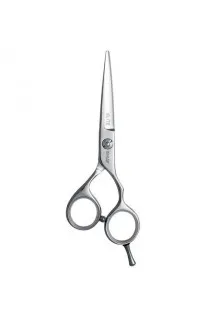 Перукарські ножиці Elite 110 20350 5 за ціною 2585₴  у категорії Ножиці для волосся Призначення Стрижка