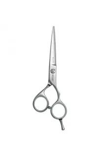Перукарські ножиці Elite 110 20355 5,5 за ціною 2585₴  у категорії Ножиці для волосся Бренд Sway