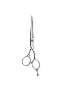 Перукарські ножиці Elite Day 110 20555 5,5 за ціною 2585₴  у категорії Інструменти для перукарів