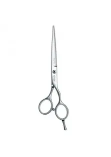Перукарські ножиці Elite Day 110 20560 6 за ціною 2585₴  у категорії Ножиці для волосся Країна виробництва Південна Корея
