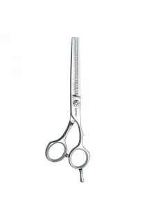 Філіровочні ножиці Elite 110 26260 6 за ціною 2665₴  у категорії Ножиці для волосся Призначення Стайлінг