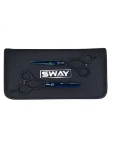 Купити Sway Набір перукарських ножиць Art Crow Wing Set 306 вигідна ціна