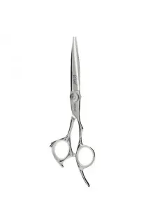 Перукарські ножиці Angel Japanese Line 6 за ціною 5420₴  у категорії Ножиці для волосся Стать Універсально