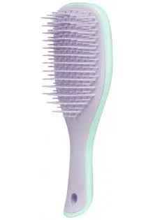 Щітка для волосся The Wet Detangler Mini Wisteria Leaf за ціною 470₴  у категорії Інструменти для перукарів Тип Щітка для волосся