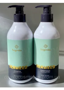 Bogenia Набір для волосся Seaweed