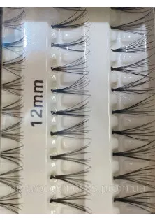 Накладні вії пучки TF Natural looking False Eyelashes 202 за ціною 104₴  у категорії Як клеїти накладні вії: покрокова інструкція
