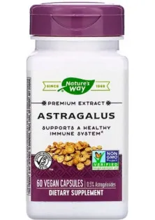Корінь астрагалу Nature's Way Astragalus 60 Veg Caps NWY-15383 за ціною 991₴  у категорії Nature's Way